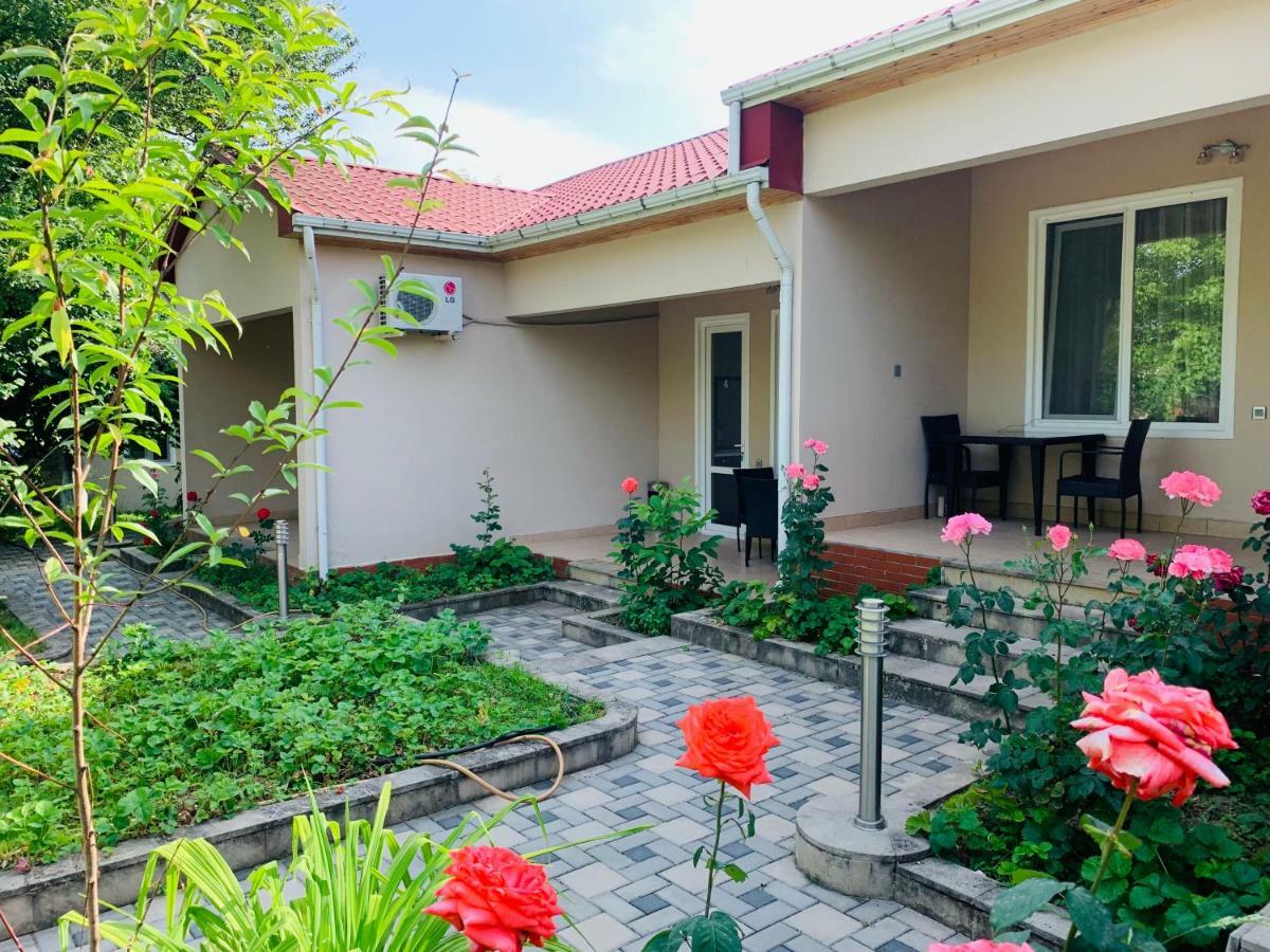 One Dom Cottage Gabala Exterior foto