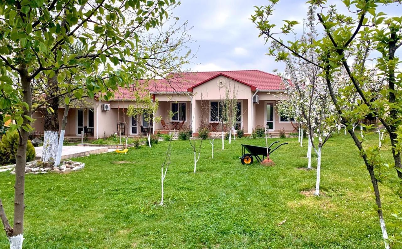 One Dom Cottage Gabala Exterior foto