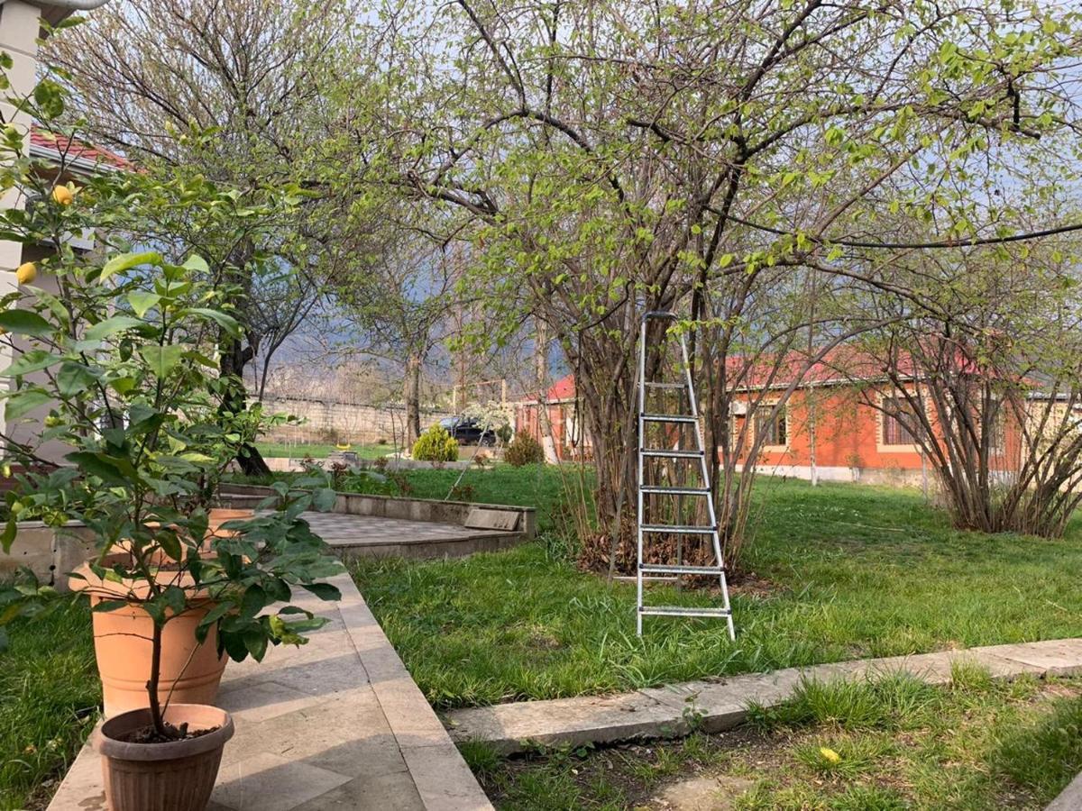 One Dom Cottage Gabala Exterior foto